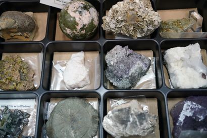 null NATURALIA Réunion de minéraux dont apatite, mica lépidolite, marcassite dollar,...