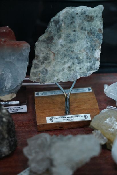 null NATURALIA Réunion de minéraux dont gypse, citrine, sidérite, barytine, etc.