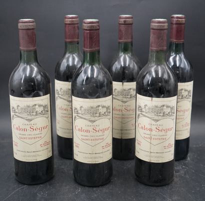Six bouteilles, Chalon Ségur, Saint Estephe,...