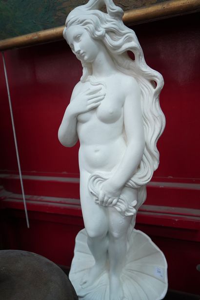 null La Naissance de Vénus, sculpture en plâtre d'après le tableau de Botticelli....