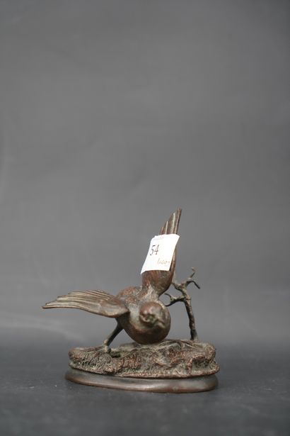 null PAUTROT, oiseau, statuette en bronze patiné ; percé, manque la base