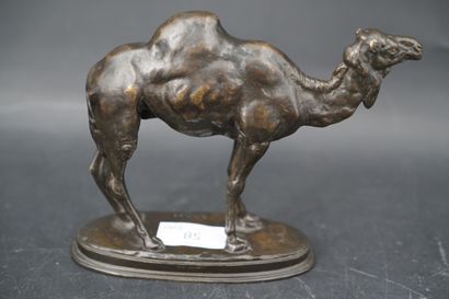 null Antoine Louis BARYE (1795-1875), d'après, dromadaire, sujet en bronze patiné...