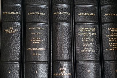 null Apollinaire, Œuvres, éditions André Sauret, 6 volumes reliés, illustrés par...