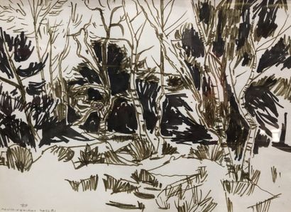 null RAYMOND PARGAMIN (1915 - 2010). Forêt de Fontainebleau. Feutre sur papier marouflé...