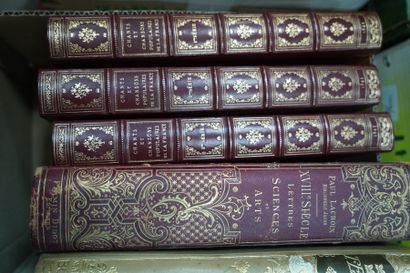 null Ensemble de volumes reliés dont Jean de Bonnot : Nostradamus, Bronte, Roman...