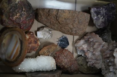 null Collection de pierres dures, pierres fossilisées et coquillages. 4 cartons.