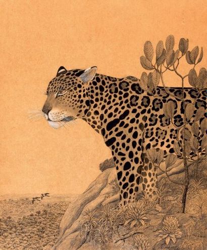 Claude RABANIT Jaguar sur la colline Dessin à l'encre, feutre et rehauts de gouache...
