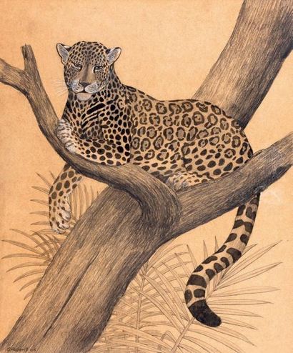Claude RABANIT Jaguar sur une branche Dessin à l'encre, feutre et rehauts de gouache...