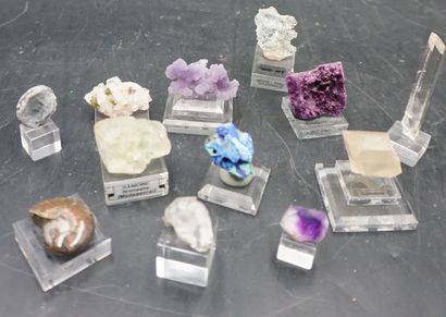 null NATURALIA. Réunion de minéraux dont kammérérite, calcédoine, sanidine, anglésite,...