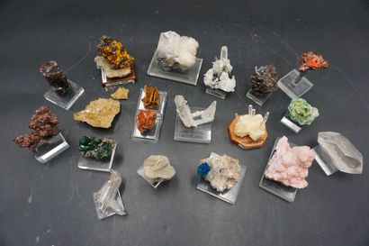null NATURALIA. Réunion de minéraux dont torbernirte, barytine, crocoïte, rhodocrosite,...