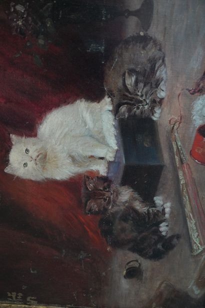 null M. DELILLE (XIX-XXe), Chatons, huile sur toile signée en bas à droite. Acci...