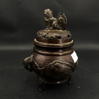 null CHINE, XIXe siècle. Brûle-parfum en bronze à patine brune à décor d'oiseaux...