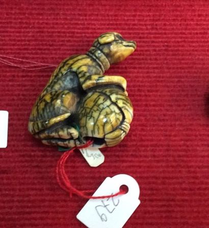 JAPON - Début XXe siècle Netsuke en ivoire à patin jaune, représentant un chien assis...