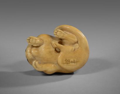 JAPON - Milieu Epoque EDO (1603 - 1868) Netsuke en ivoire à patine jaune, chat couché,...