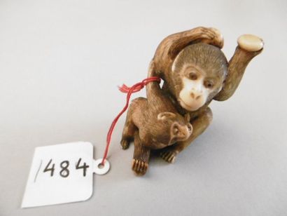JAPON - Epoque MEIJI (1868 - 1912) Netsuke en ivoire à patine jaune, deux singes...