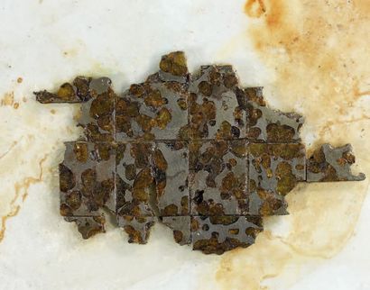 null PALLASITE INDÉTERMINÉE Tranche découpée et recollée 150 g