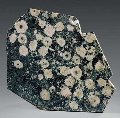 null DIORITE ORBICULAIRE Diorite orbiculaire Corse
Grande plaque épaisse
La diorite...