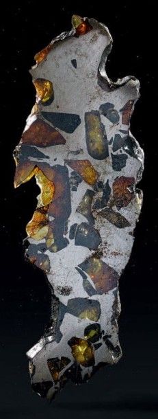 null PALLASITE INDÉTERMINÉE Tranche
Tranche avec de belles olivines et une forme...