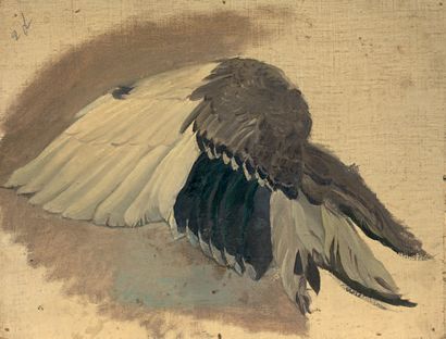 École Française de la seconde moitié du XIXe siècle * Étude d'aile d'oiseau 
Huile...