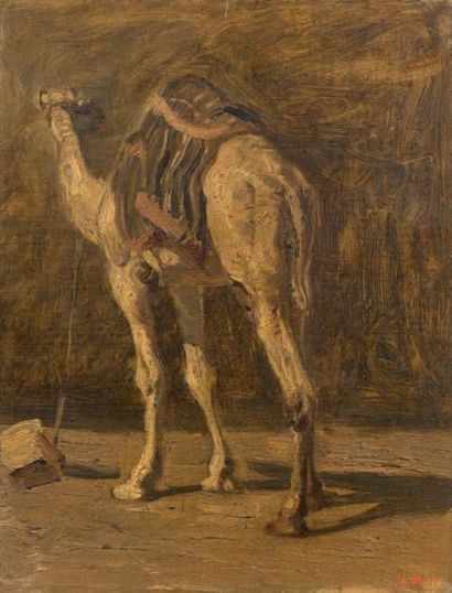 Léon Adolphe BELLY (1827-1877) * Dromadaire
Huile sur toile, signée en bas à droite.
37...