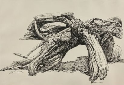 Odette CAMP (1909-1979) Souche d'arbre
Dessin à l'encre de Chine