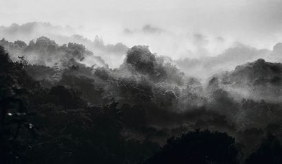 null Le sommeil d'un faune 2017
Photographie argentique numérisée et réinterprétée
Tirée...