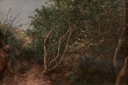Joseph Jacques REYMANN (1848-?) 
Buisson dans un paysage algérien Huile sur toile,...