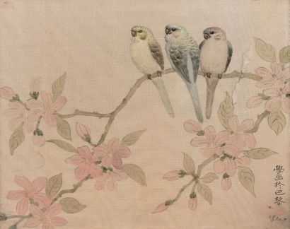 LIAO Sin Hio (XXe) 
Trois perruches sur une branche en fleur
Peinture sur soie, signée...