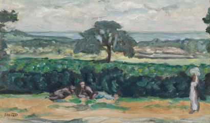 Pierre Bonnard 1867–1947 Pierre Bonnard 1867-1947

Le repos ou Paysage avec arbre,... Gazette Drouot