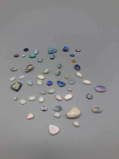 Lot of opals on paper for 34.5 carats (some...