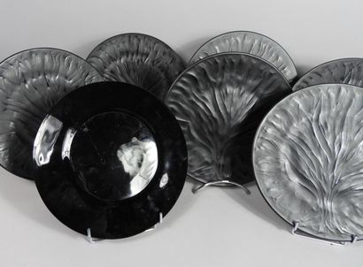 Lalique, neuf assiettes modèle Algue 
LALIQUE France. Modèle « Algues ».




Ensemble...