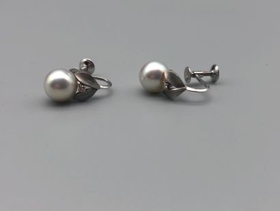 null Pair of screw earrings in white gold 750 thousandths with foliage set with pearls...