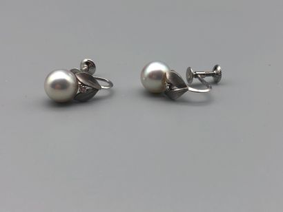 null Paire de boucles d'oreilles à vis en or gris 750 millièmes à motif de feuillage...