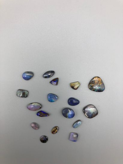 Lot of 17 opals with their gangue on paper...