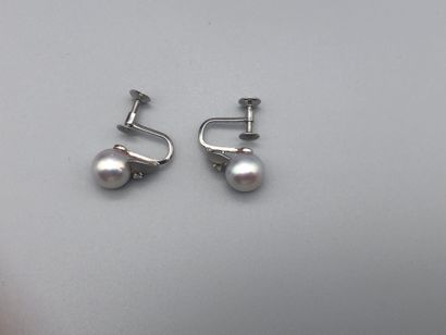 Pair of screw earrings in white gold 750...