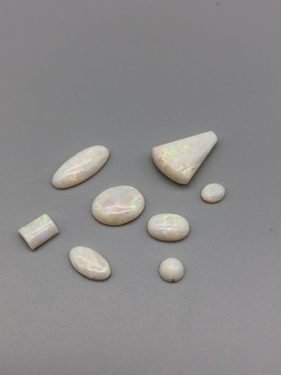 null Lot of eight opals on paper for 10.7 carats.