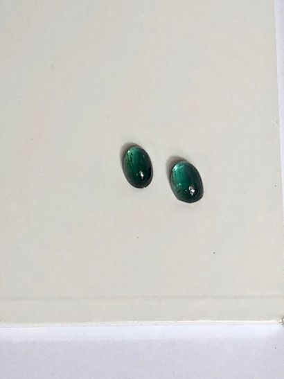 null Deux cabochons de tourmaline verte 3,9 carats