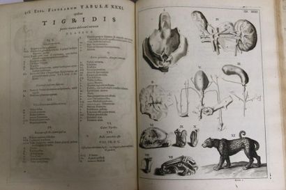 Gerardi BLASII. 
Anatome Animalium, Terreftrium...