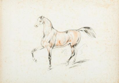 null Attribué à Victor ADAM (1801-1866) 
Cheval 
Pierre noire et sanguine et lavis...