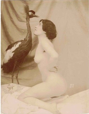 null Eroticism, charm, nude studio studies. Circa 1900-1920. Set of about ten albumen...