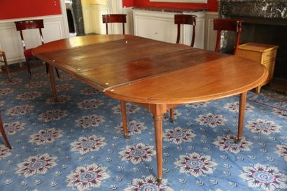 null Mahogany dining table with shutters. Oval top with flaps, resting on 6 tapered...