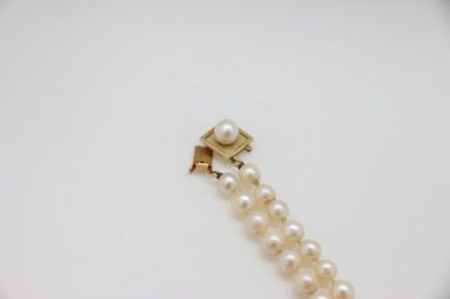 null Necklace of cultured pearls. 750°/°° yellow gold ratchet clasp decorated with...