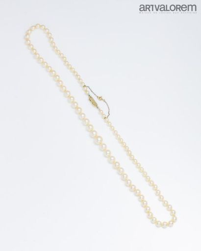 null Necklace of falling cultured pearls. white gold ratchet clasp and safety chain.
L....