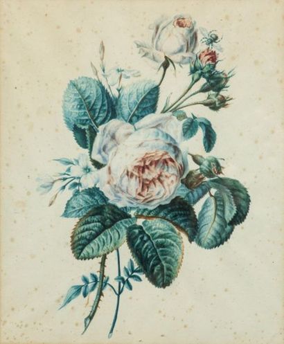 null Ecole française du XIXème siècle
Paire de bouquets de roses
Aquarelle sur papier
35...