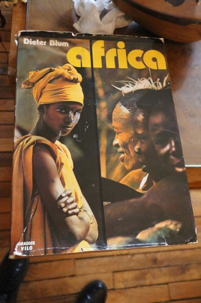 null AFRICA
Collection of about a hundred art books on tribal art and Africa; Dapper...