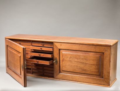null 
Mahogany medallion opening by two moulded doors revealing forty-eight drawers.

Work...