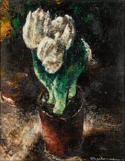 null CHARLEMAGNE Paul (1892-1972)

Tulips

Oil on canvas marouflaged on cardboard,...