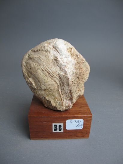 null Polished massive rhodochrosite from Argentina

H. 7,5 cm

Solid polished jasper...