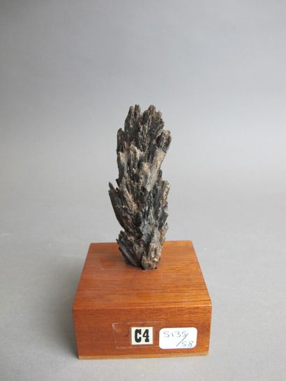 null Jameonite Rock of Mexico 

H. 10 cm

A sheaf of Cyanite (Black Disthene) crystals...