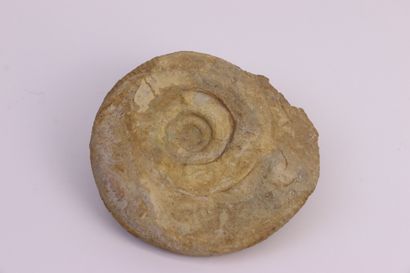 null 
Ammonite fossilisée
14 x 16 cm
